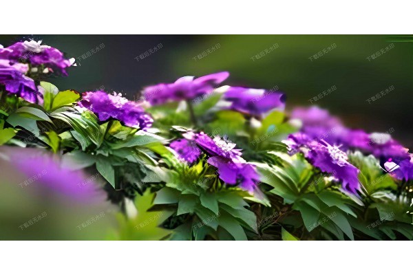 武汉夜雨润江南，感受那独特的桑拿魅力