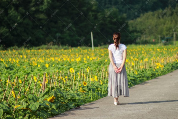 汉阳茶馆里，古韵今风尽收眼底